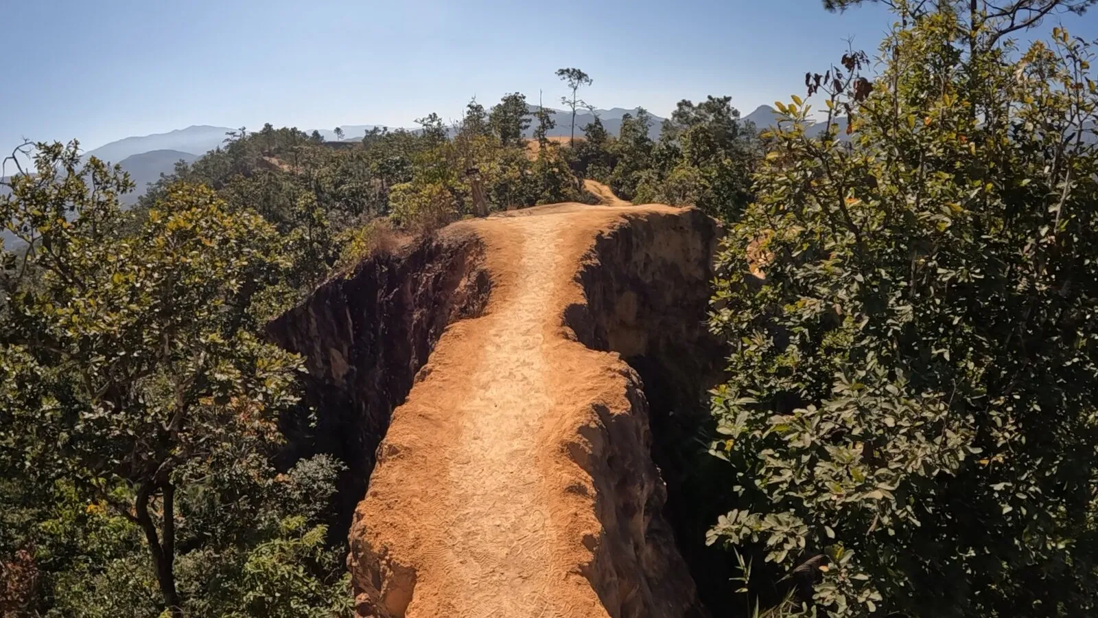 A rider walking along a narrow red dirt ridge above a forest