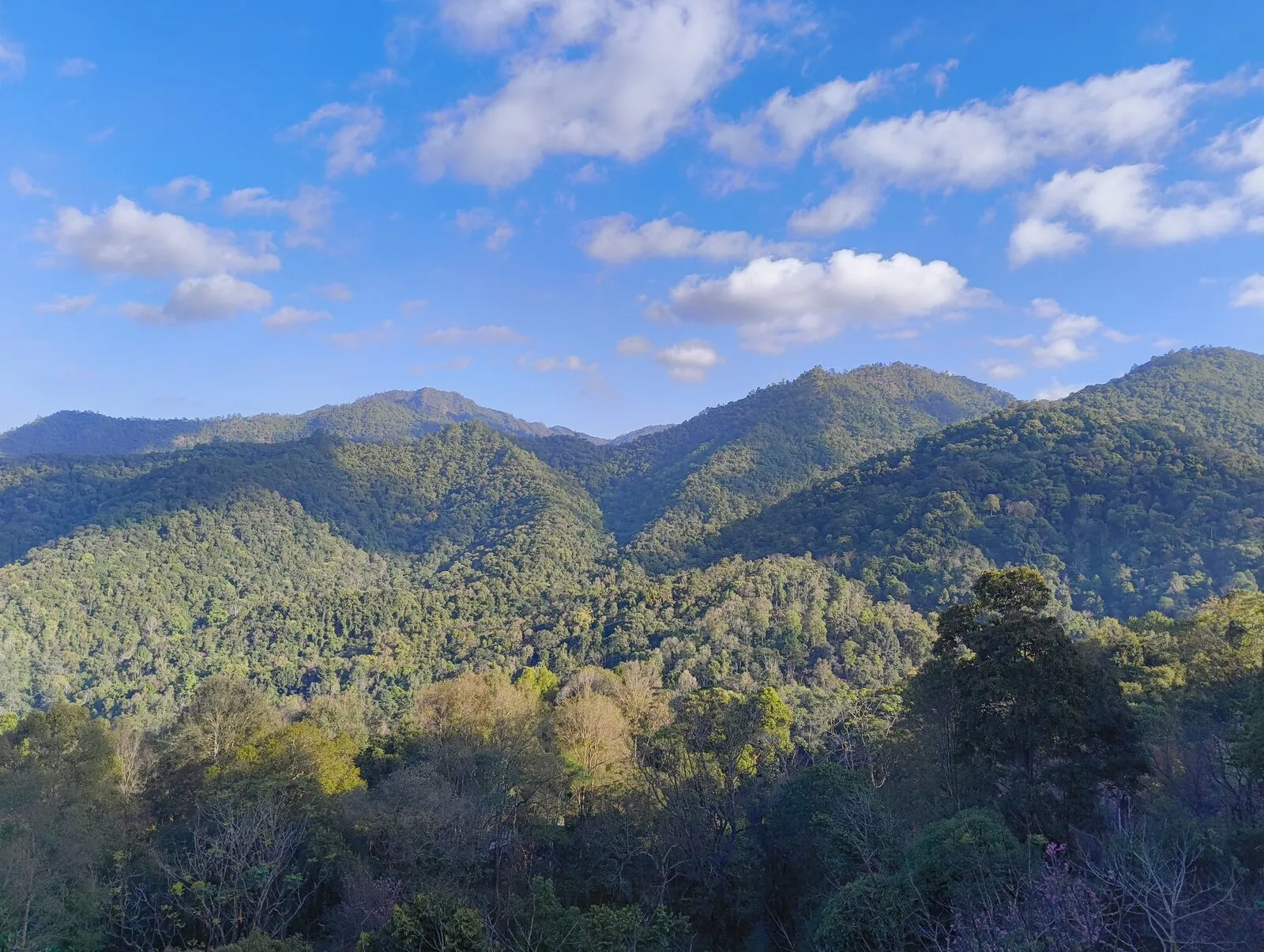 Layered green mountains under a bright sky, seen from the First Valley coffee academy