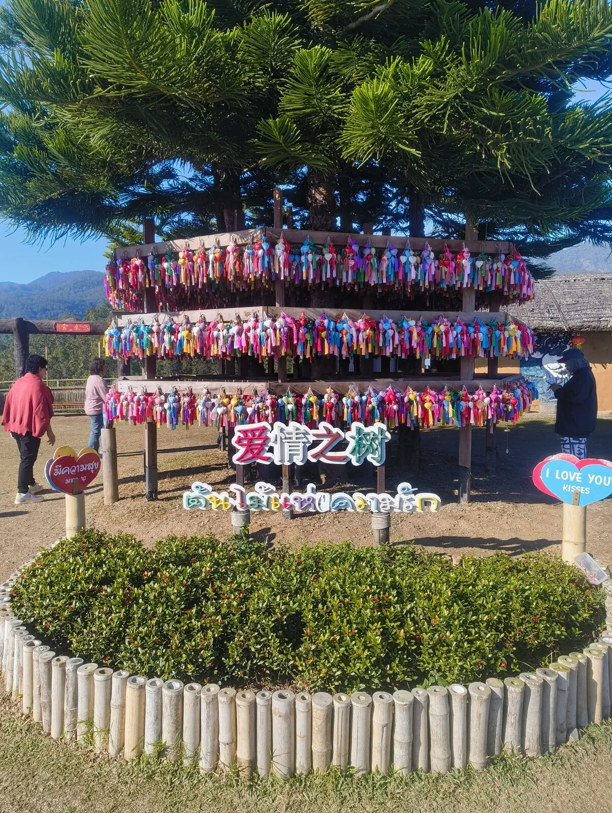 A tree hung with thousands of colourful ribbons above a hedge