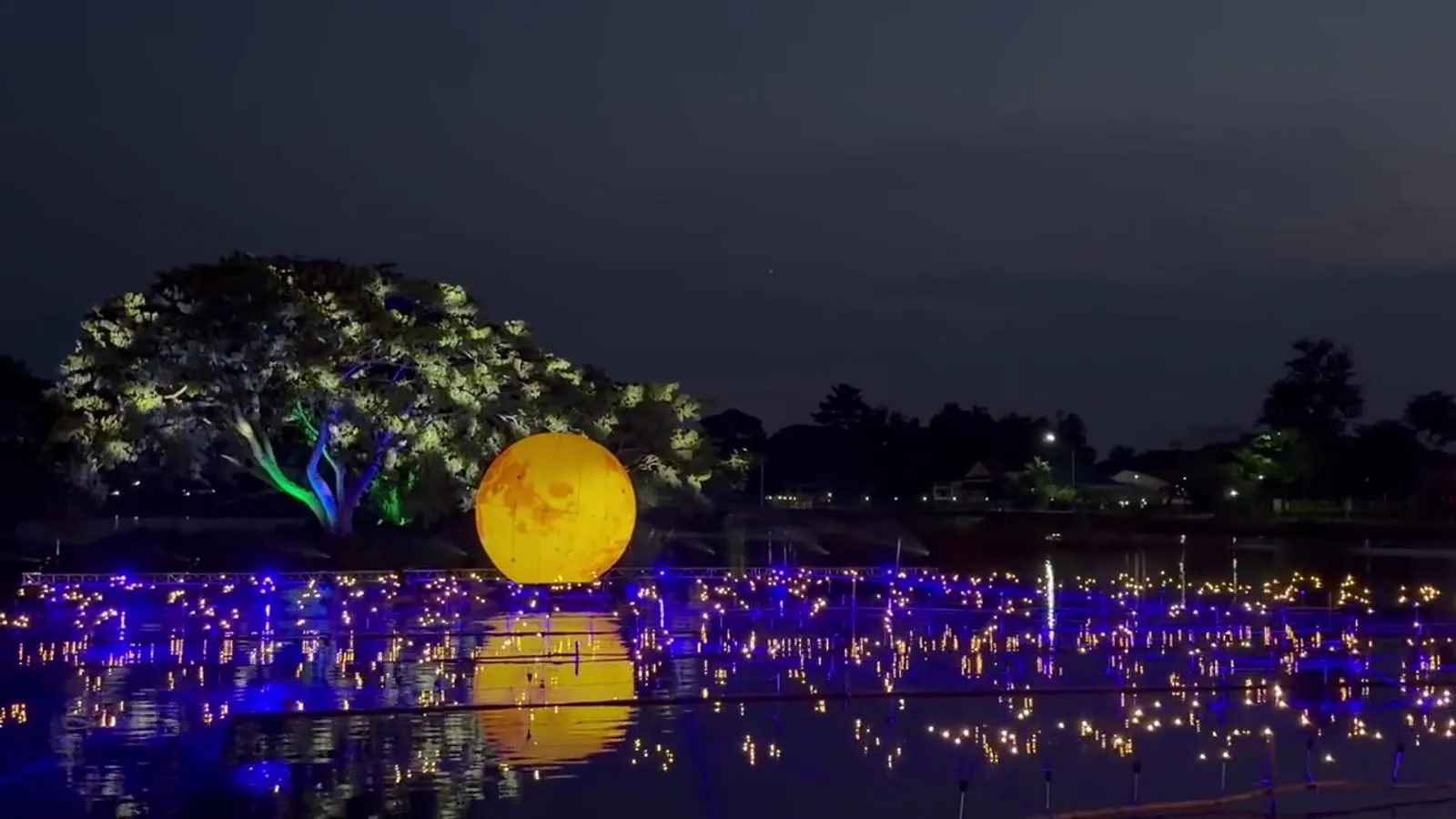 A lake of blue and gold lights beneath a lit tree at night