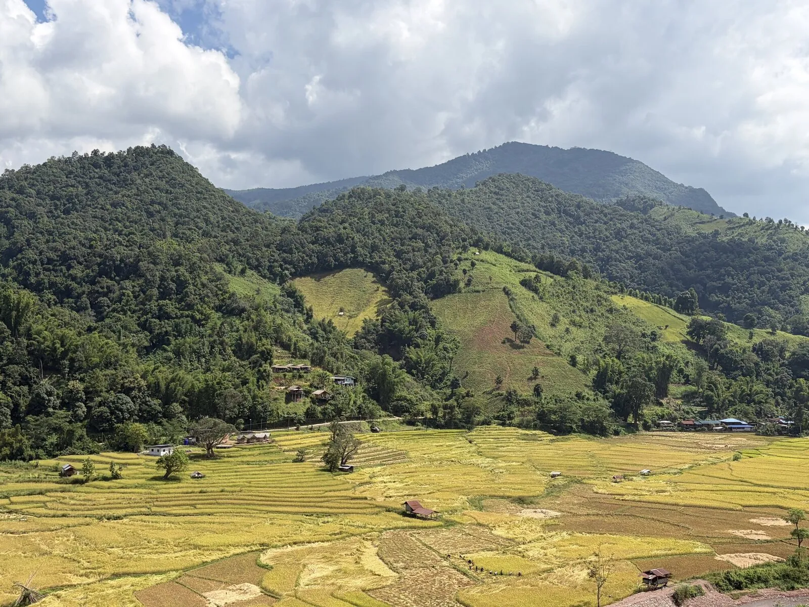Green terraced rice fields surrounded by forested mountains