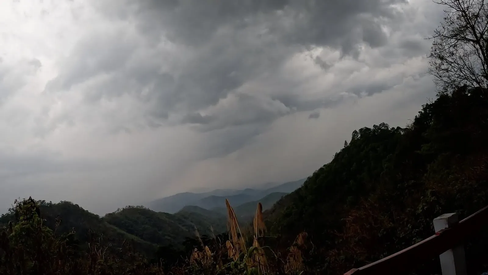 Still from “Samoeng Forest”