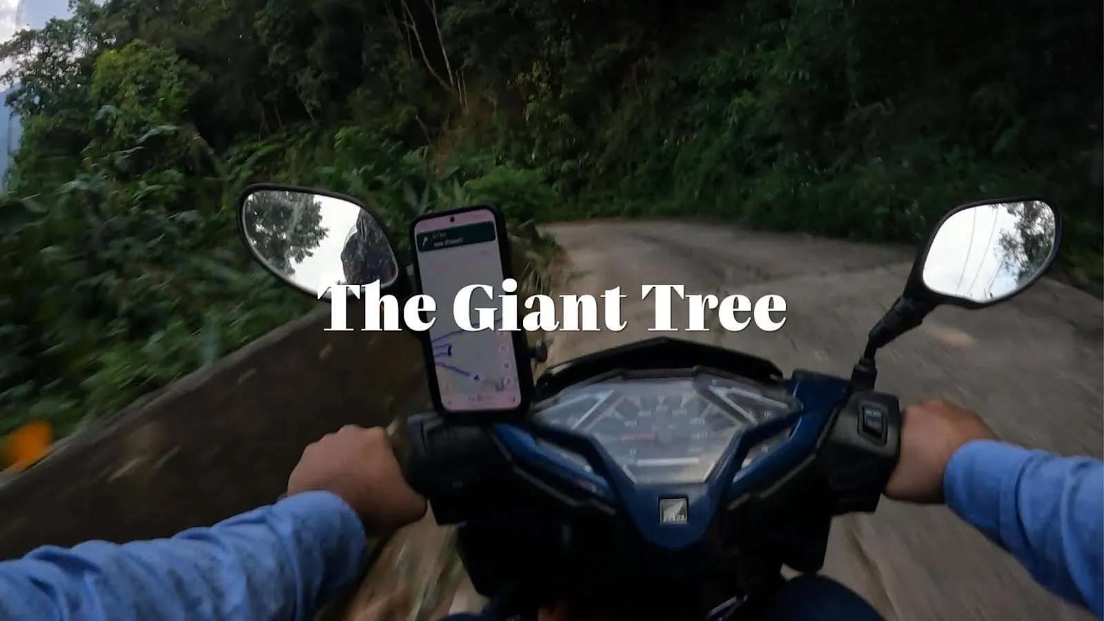 Still from “The Giant Tree”