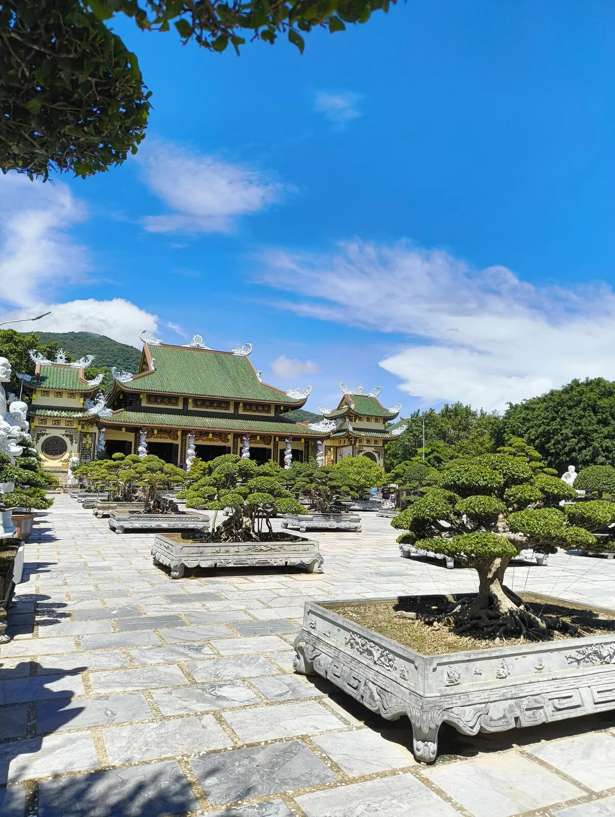 A stone courtyard with clipped bonsai trees and a pagoda roof