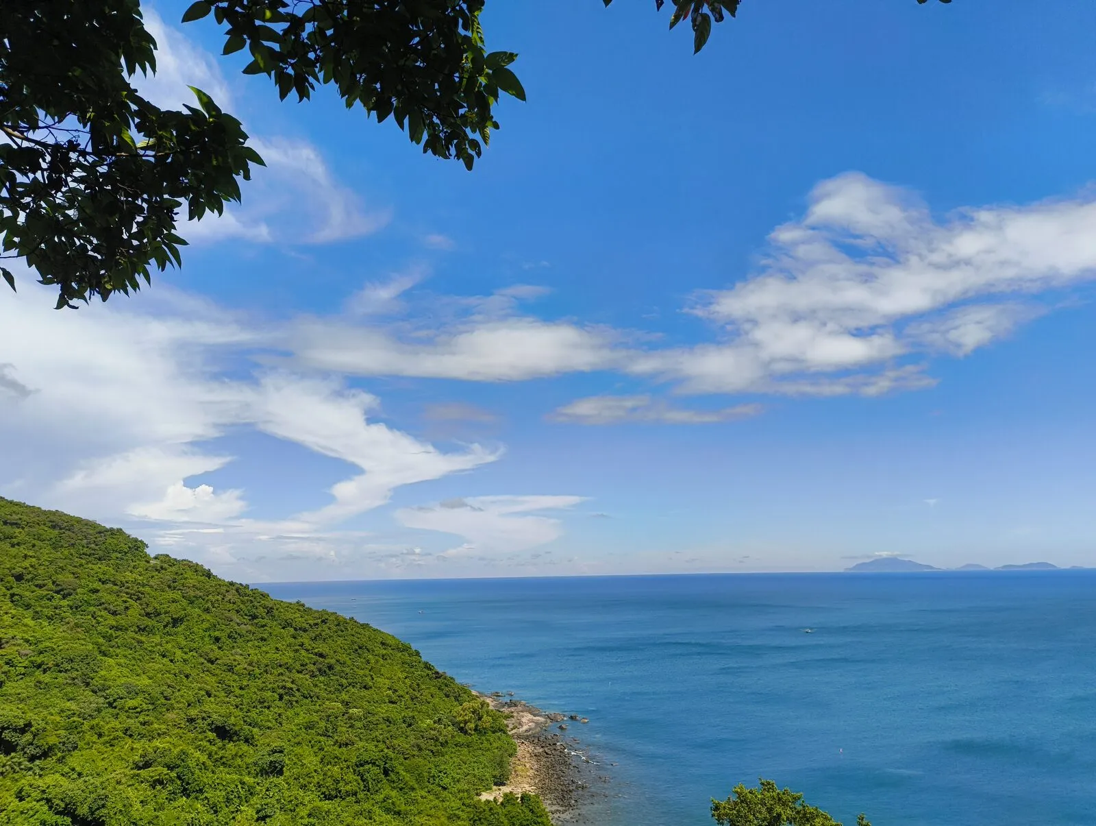 A green headland dropping into a blue sea under a wide sky